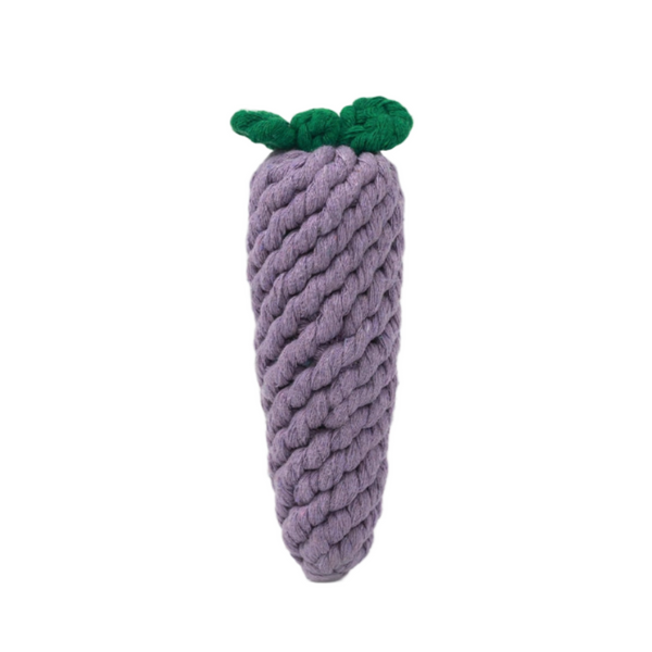 Eggplant Macrame Rope Toy