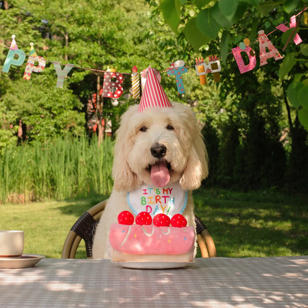 Strawberry Roll Cake Puzzle Toy