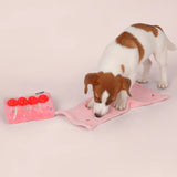 Strawberry Roll Cake Puzzle Toy