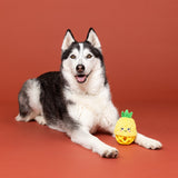 Pineapple Plush Treat Toy