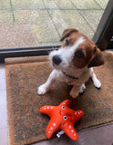 Starfish Floating Dog Toy