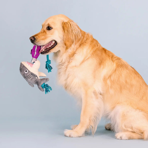 Shark Bait and Fish Plush Rope Toy