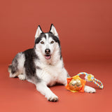 Golden Sun Plush Rope Toy