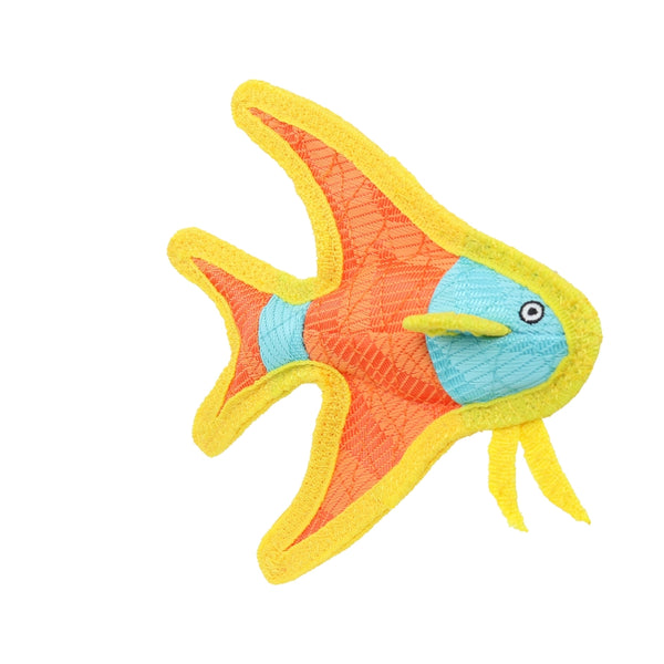 DURABLE SMALL ANGEL FISH