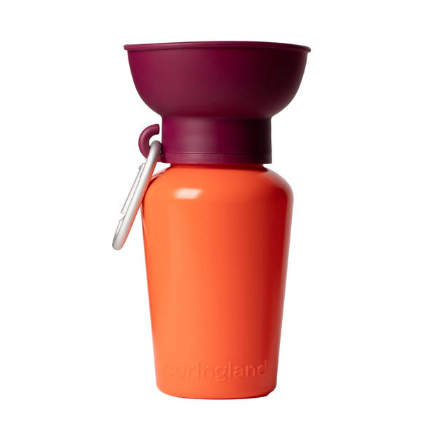 FLIP DOG TRAVEL BOTTLE -VALENCIA