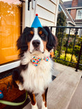 Celebration Bow Tie