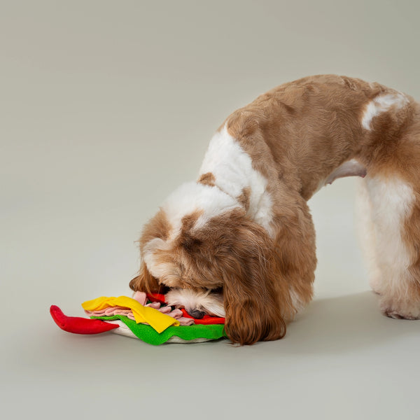Burrito Puzzle Toy