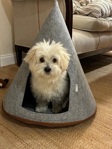 Pet Tent