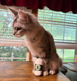 Kitty Catpuccino