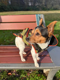 Zoomies Classic Coat  - Camouflage/Orange