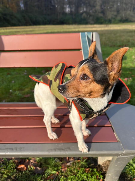 Zoomies Classic Coat  - Camouflage/Orange