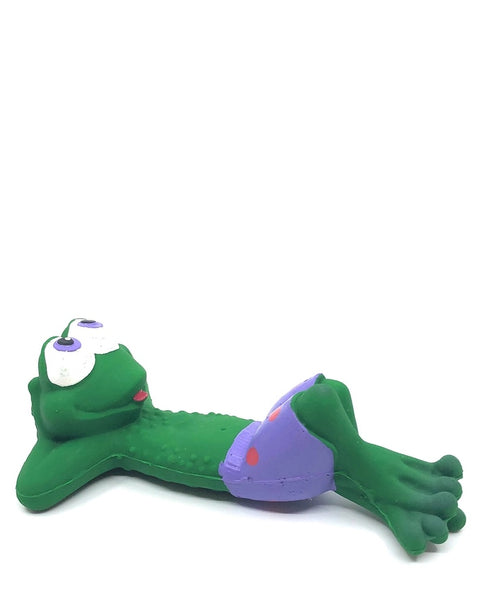 Squeaky Beach Frog Toy