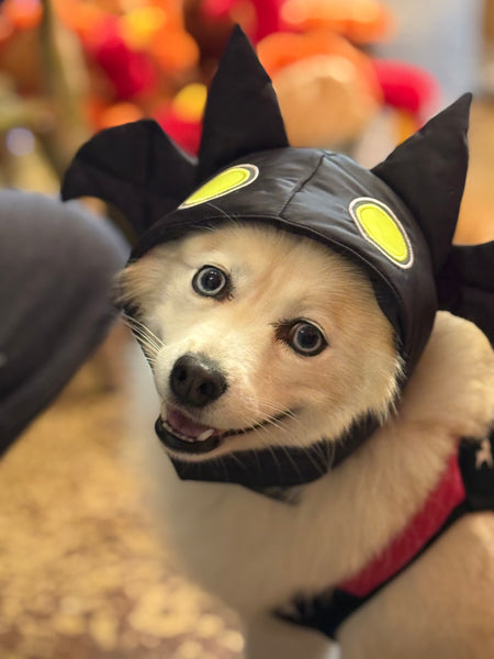 Bat Hat
