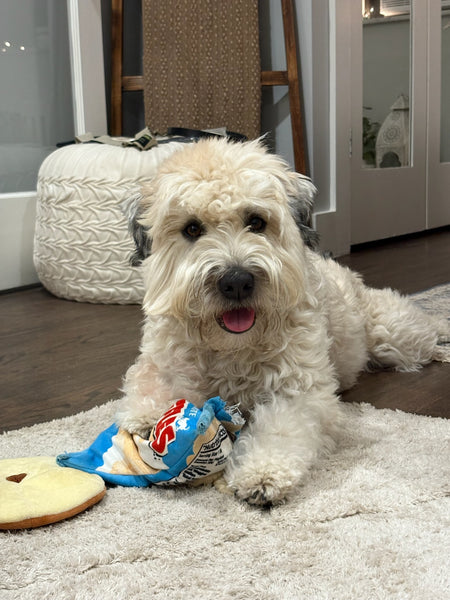 FLUFFLES CHIPS TOY