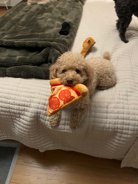 MINI PUPPY-RONI PIZZA TOY