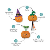 Witch of the Patch Cat Toys
