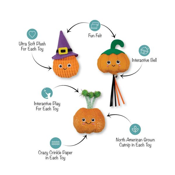 Witch of the Patch Cat Toys