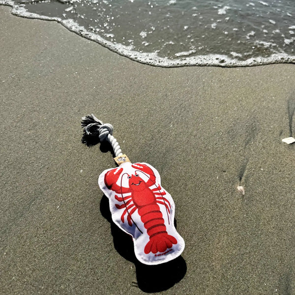 Lobster Rope Toy