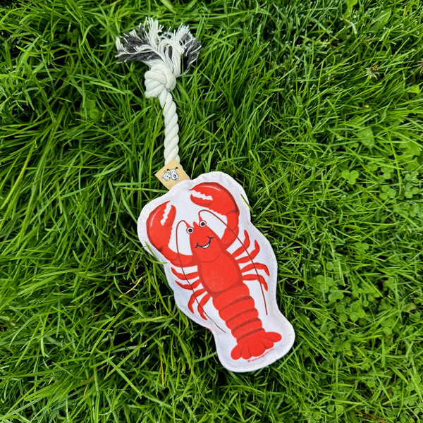 Lobster Rope Toy