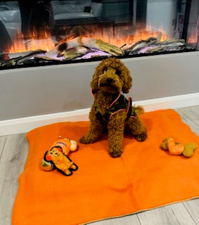 Zoomies Fleece Blanket - Orange