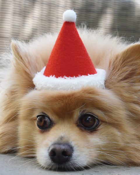 Holiday Hat