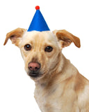 Party Hat - Blue