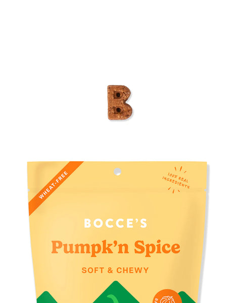 Pumpk’n Spice, Soft & Chewy