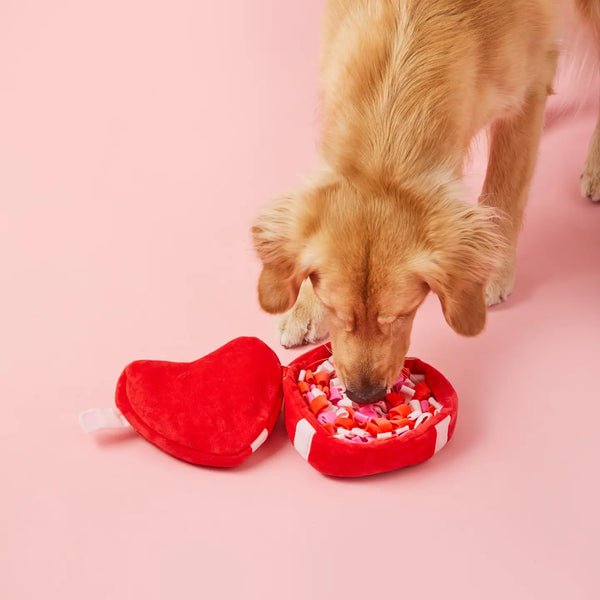 BE MY VALENTINE INTERACTIVE SNUFFLE TOY