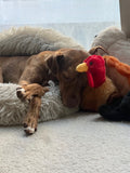 Tucker the Turkey Toy