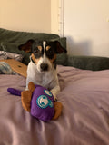 Ballistic Nylon Moondoggie Toy