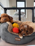 Zoomies Cuddle Bed - Charcoal