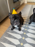 Party Hat - Yellow