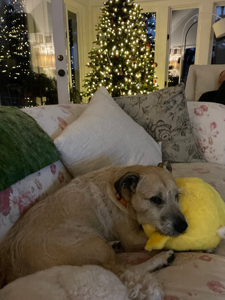 Large Chick 🐥 Ball