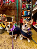 Zoomies NY Sport All Weather Coat - Navy
