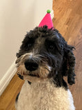 Party Hat - Pink