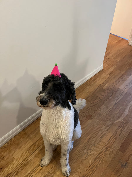 Party Hat - Pink