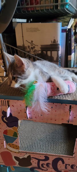 Olicat Cat Toys