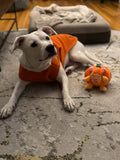 PUMPKIN PIG TOY