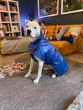 Zoomies Essential Sport Raincoat - Royal Blue