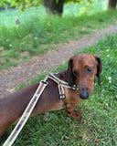 Cabana Camouflage Orange Leash