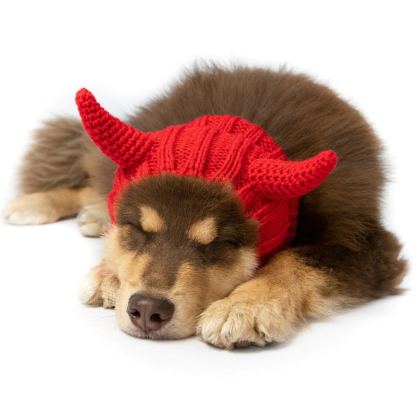 DEVIL SNOOD