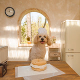 NYC Bagel Puzzle Toy