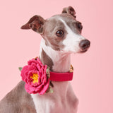 Peony Spring Collar Flower Attachment