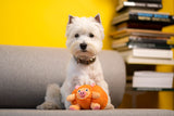 PUMPKIN PIG TOY