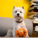 PUMPKIN MONKEY  TOY
