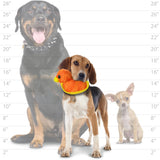 DURABLE FUN DUCK - ORANGE