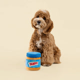 Peanut Butter Snuffle Toy