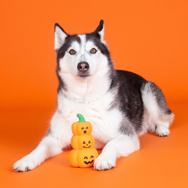 HAPPY PUMPKIN STACK LATEX TOY