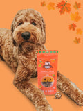 Organic Pumpkin Spice Dog Treats