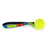 Rainbow Tennis Ball Toss Toy